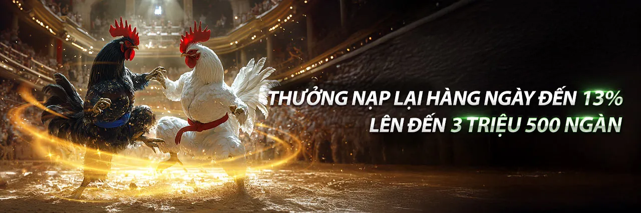 Sân chơi đá gà trực tuyến sôi động tại sun789 đăng nhập